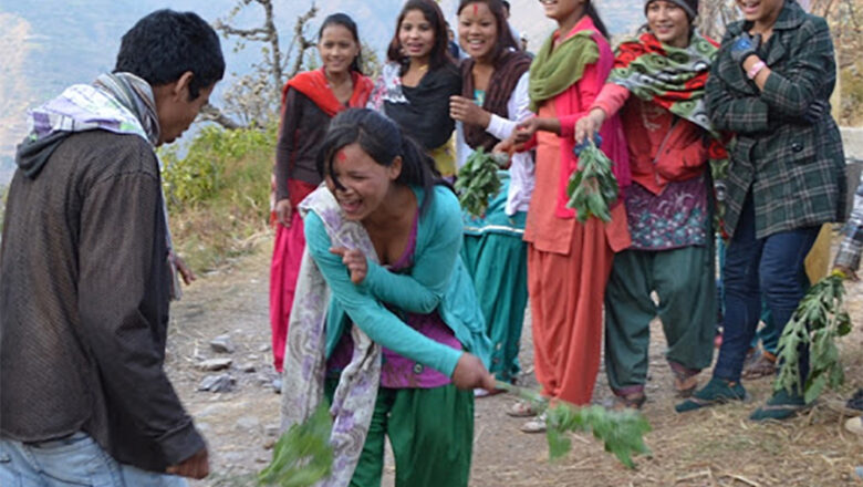 सुदूरपश्चिममा सिस्नाे खेलेर बिसु पर्व मनाइँदै