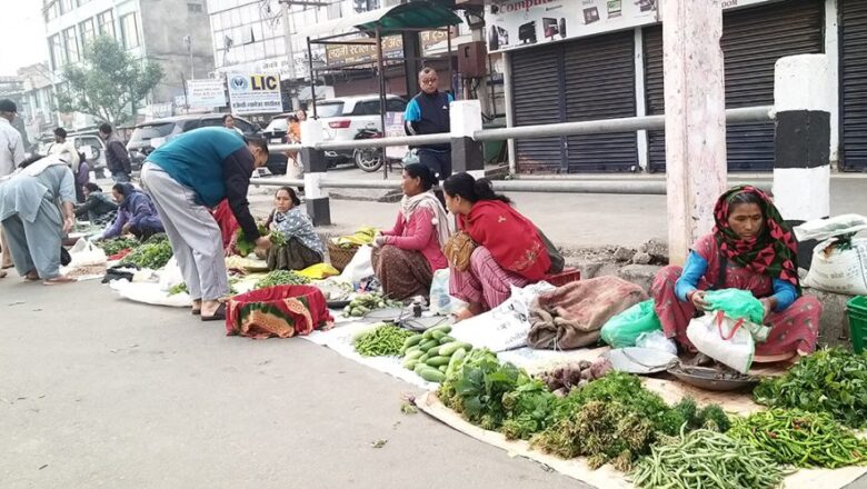 अर्गानिक तरकारी खेतीमा रमाउँदै बाँकेका थारू महिला