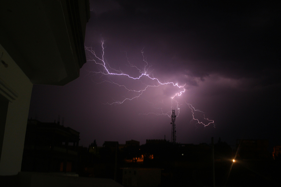 जुम्लाको लामाचौर पाटनमा चट्याङ लागेर ५६ भेडा मरे