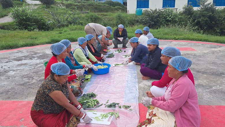 बागलुङका सीमान्तकृत समुदाय घरबासबाट आम्दानीसँग जोडिए