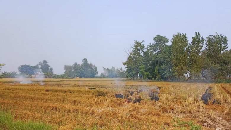 वार्षिक रूपमा ३० लाख मेट्रिक टन कृषि अवशेषमा आगजनी