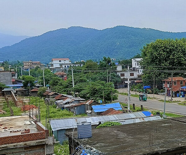 उदयपुरमा विषाक्त खानाले एकै घरका चार…