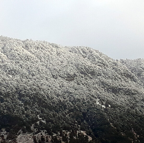आजको मौसम : हिमाली र पहाडी&hellip;