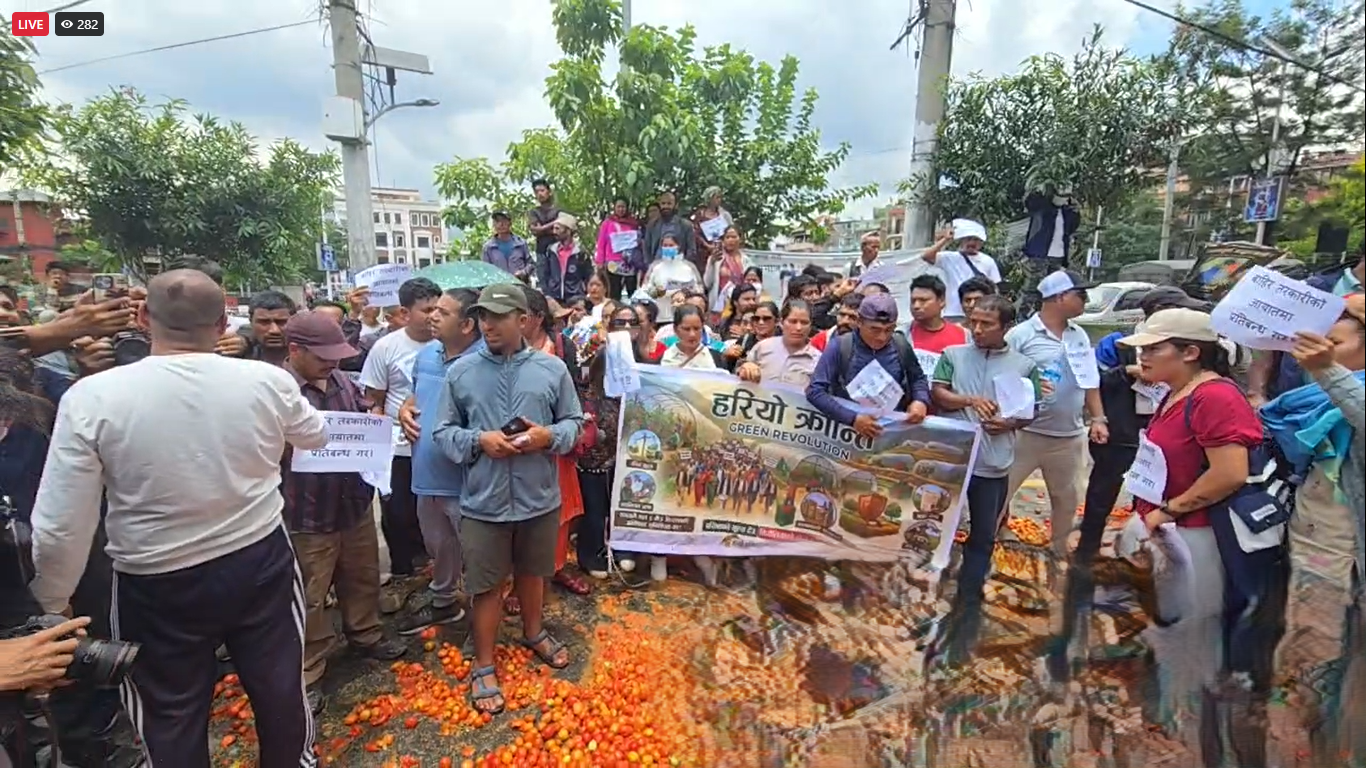 भारतीय गोलभेँडाको दबदबा: बजार भाउ १० रुपैयाँ मुनि झरेपछि नेपाली किसान आन्दोलित